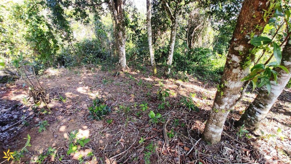 Terreno, 1010 m² - Foto 16