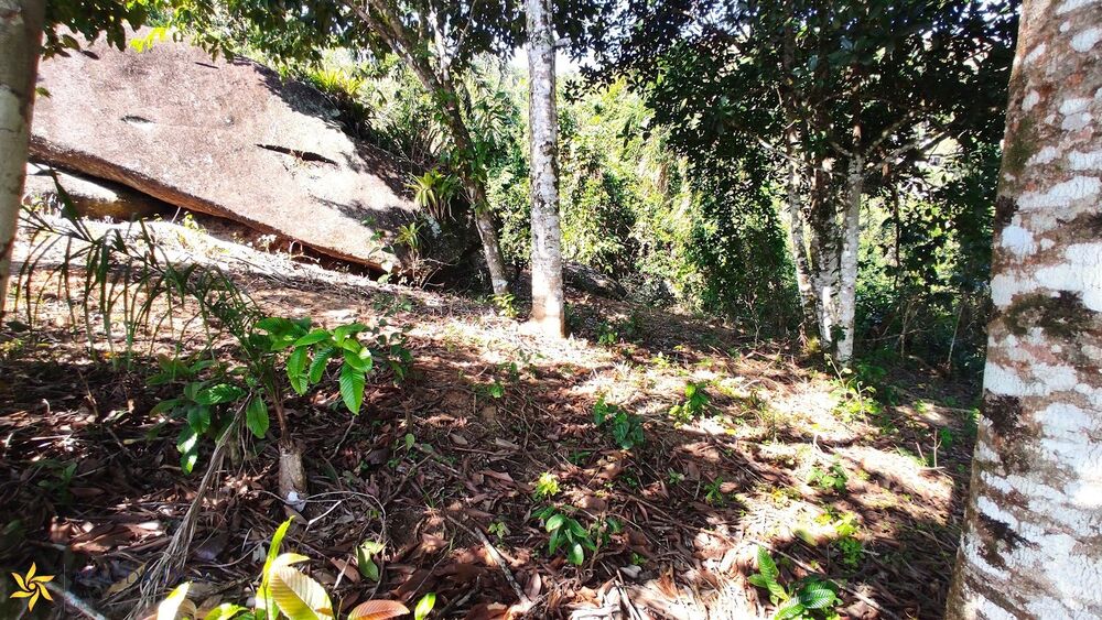 Terreno, 1010 m² - Foto 14