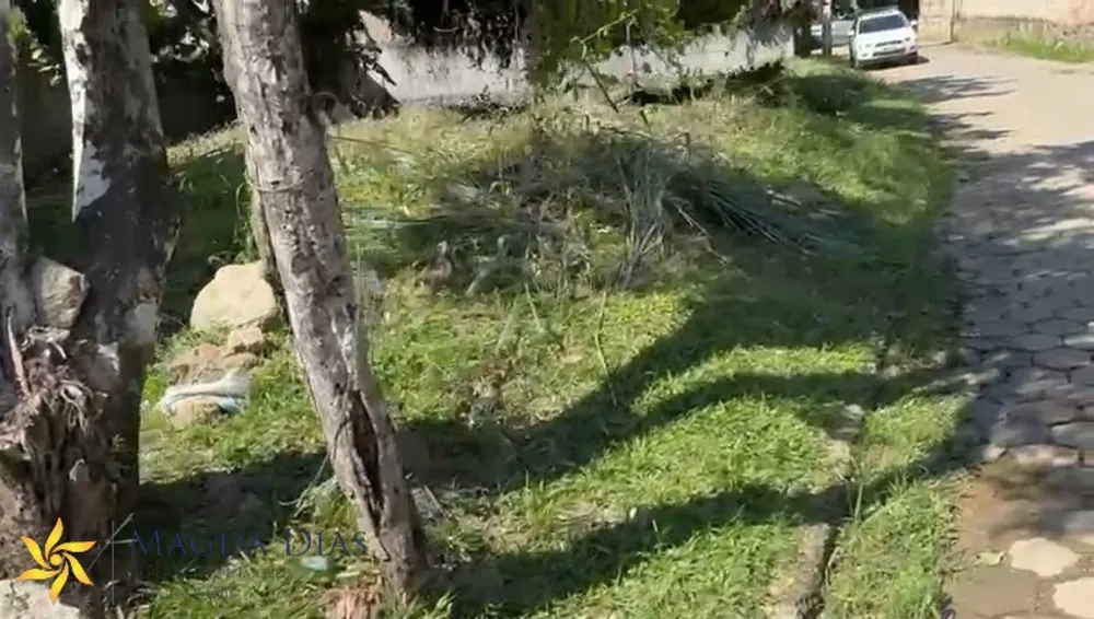 Terreno, 301 m² - Foto 7