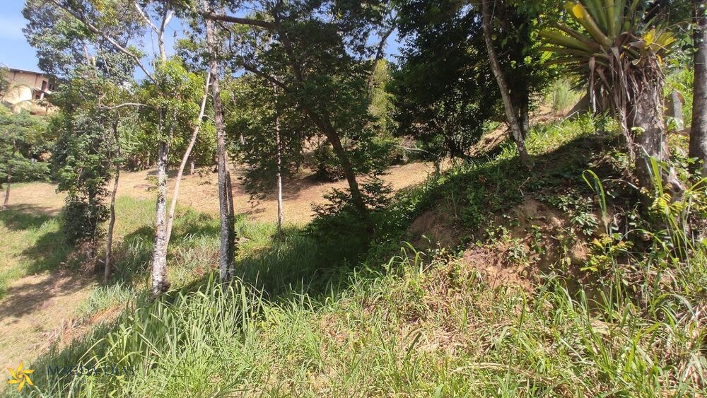 Terreno, 4700 m² - Foto 14