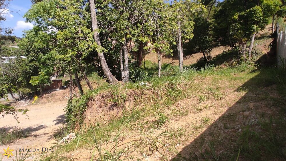 Terreno, 4700 m² - Foto 13