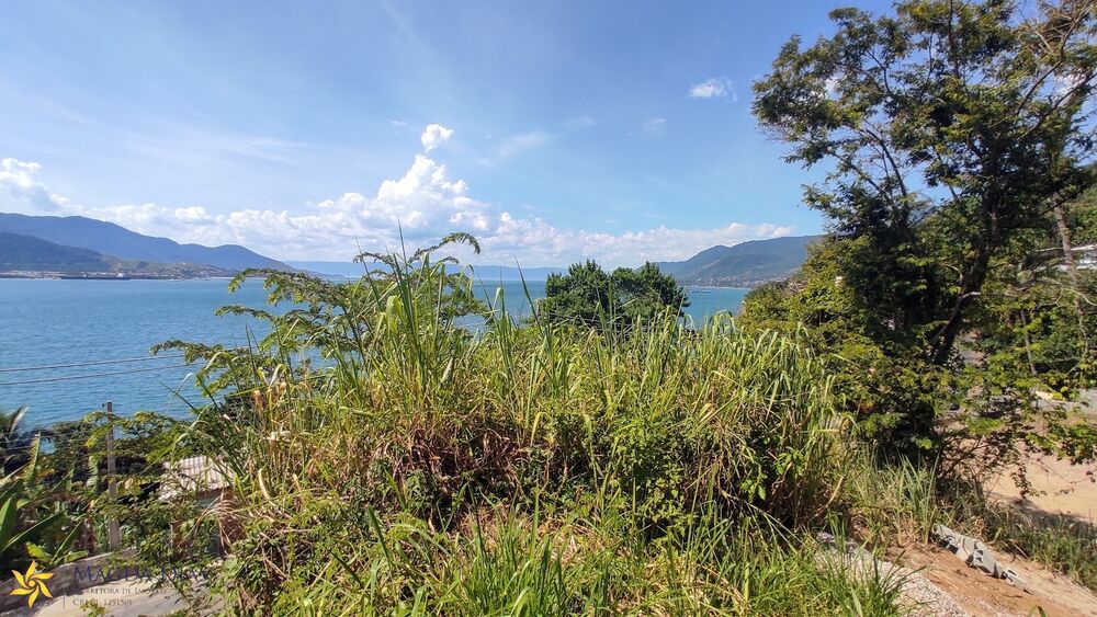 Terreno, 4700 m² - Foto 3