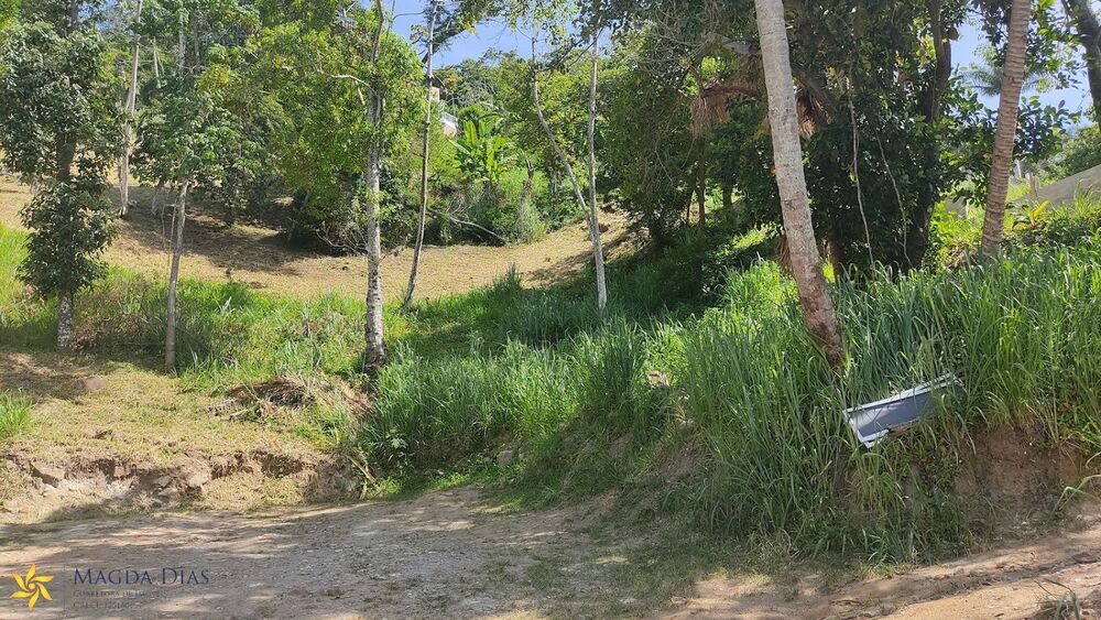 Terreno, 4700 m² - Foto 8