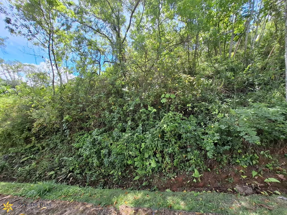 Terreno, 888 m² - Foto 11