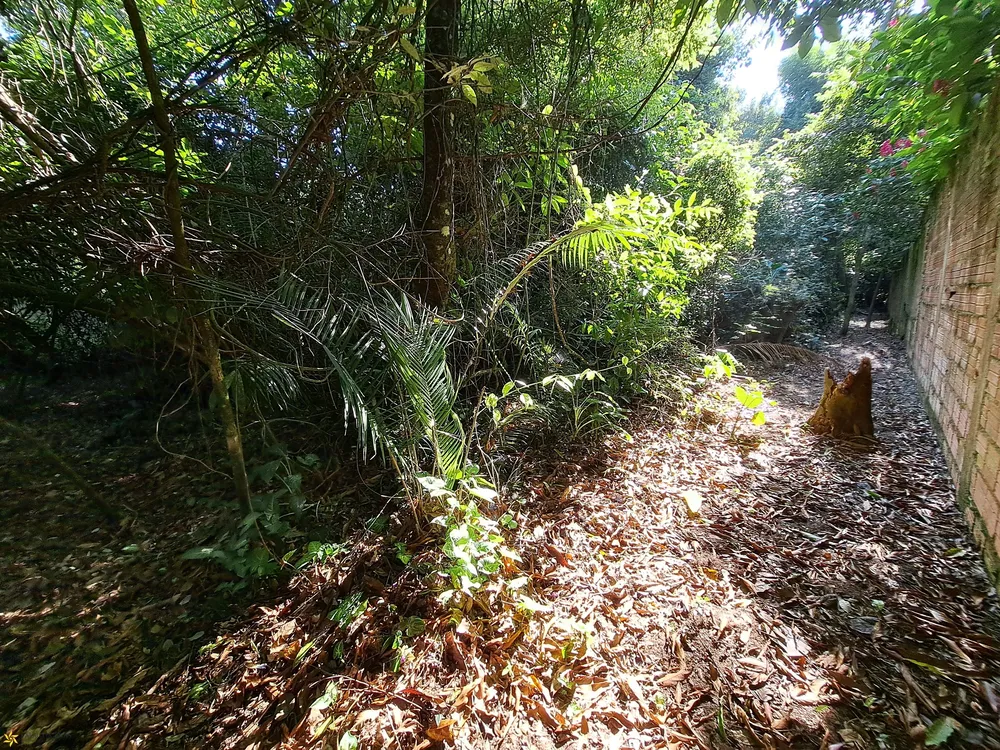 Terreno, 674 m² - Foto 3