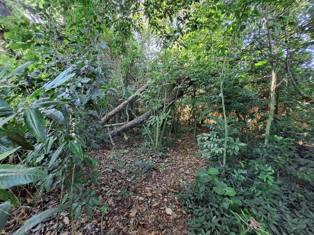 Terreno, 575 m² - Foto 4