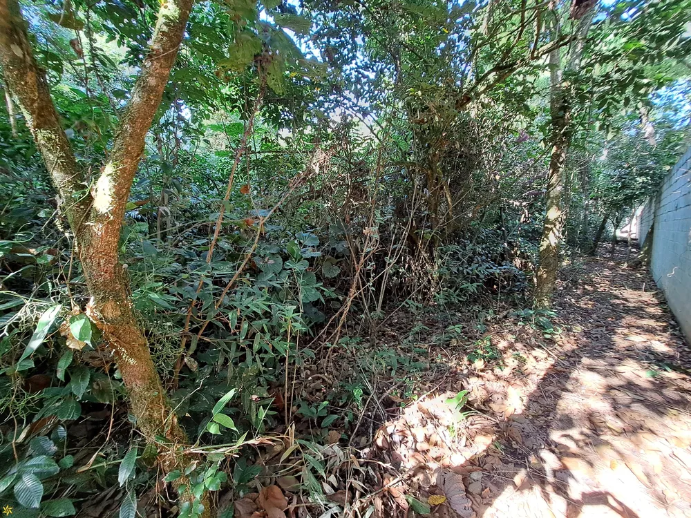Terreno, 575 m² - Foto 7