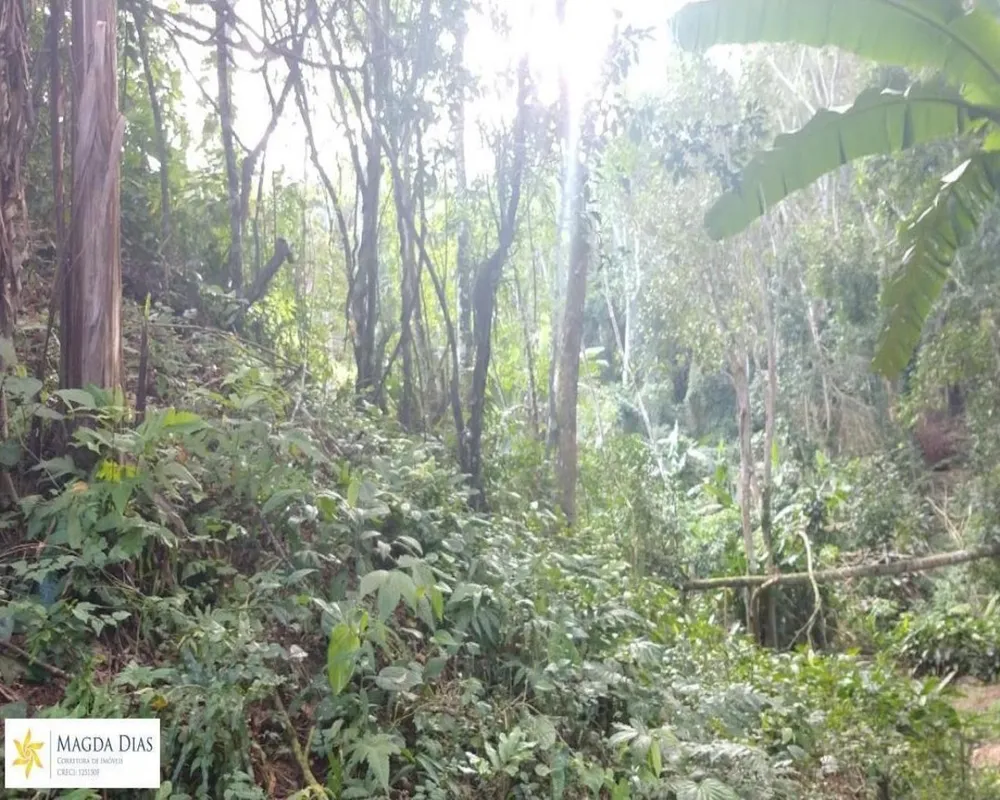 Terreno, 1 hectares - Foto 7