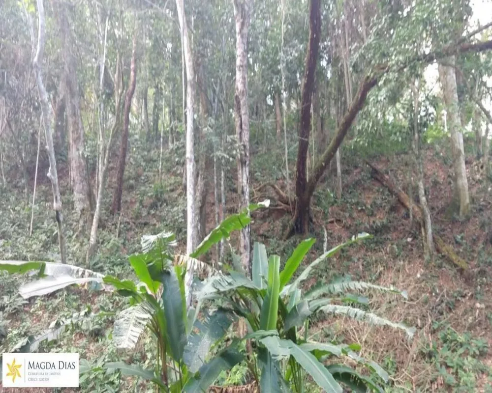 Terreno, 1 hectares - Foto 1