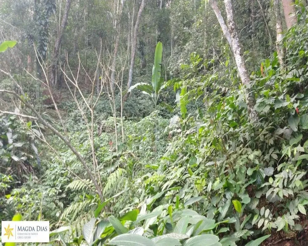 Terreno, 1 hectares - Foto 11