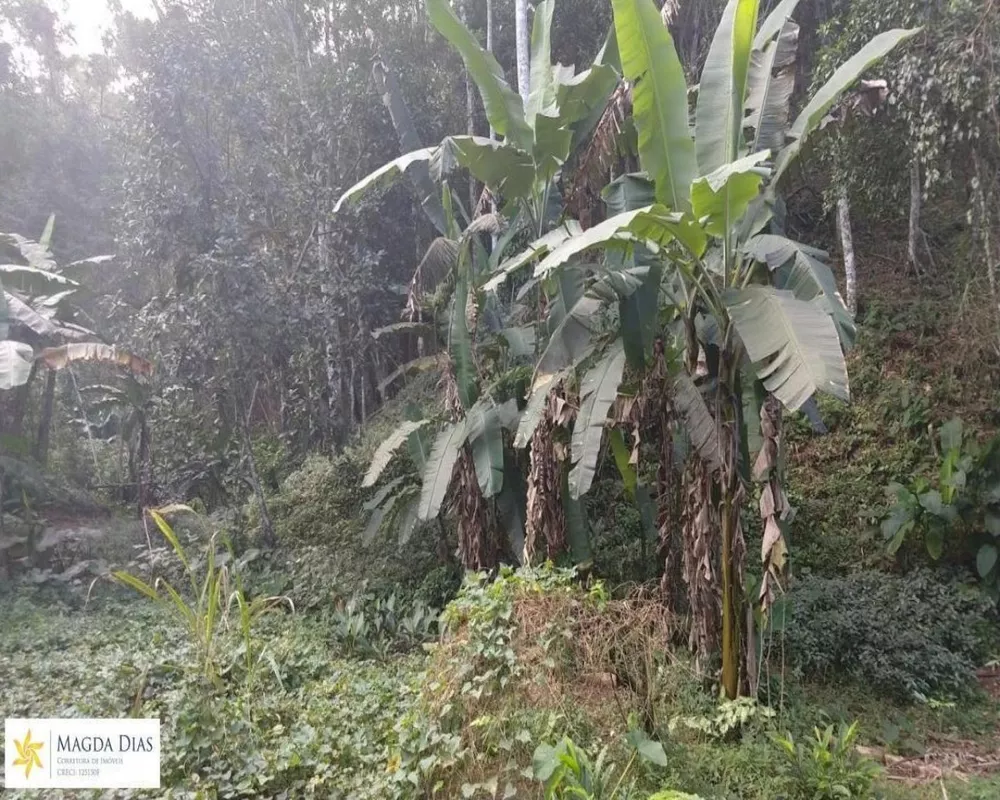 Terreno, 1 hectares - Foto 4