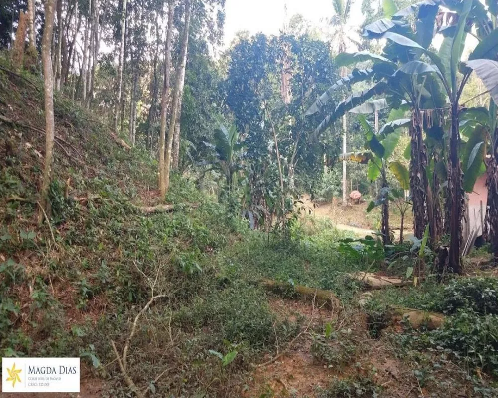 Terreno, 1 hectares - Foto 3