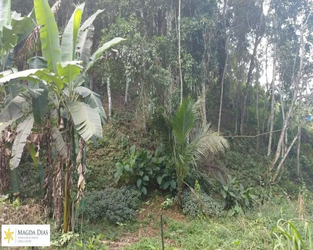 Terreno, 1 hectares - Foto 2