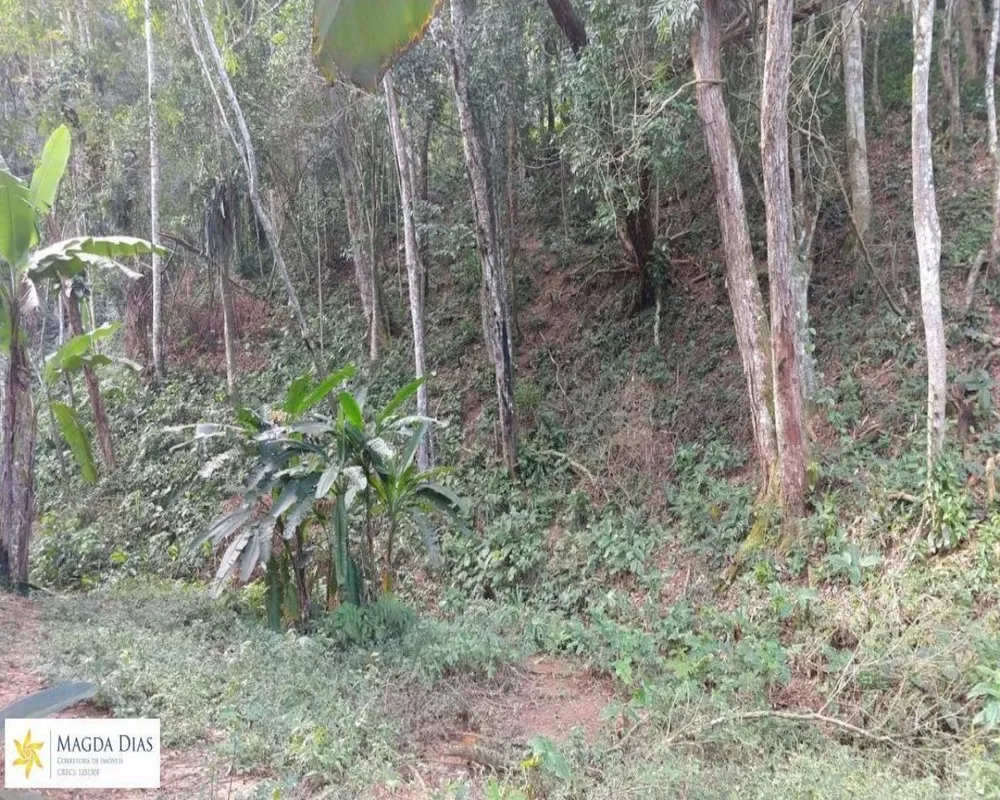 Terreno, 1 hectares - Foto 6