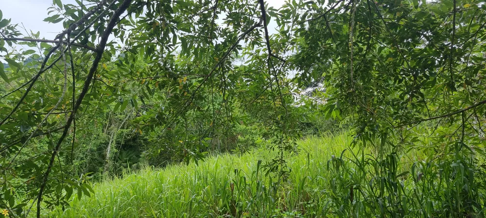 Terreno, 1161 m² - Foto 8