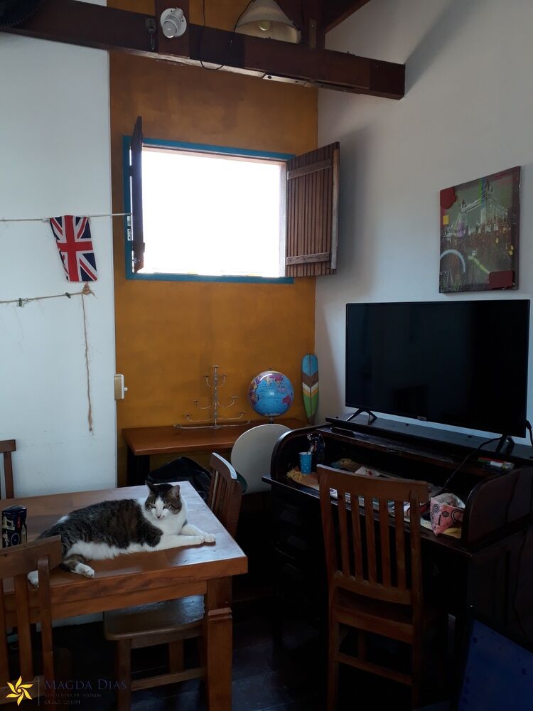 Casa, 4 quartos, 297 m² - Foto 8