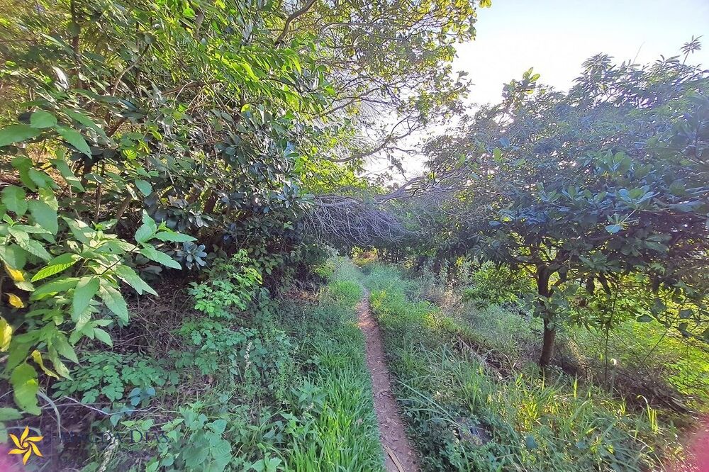 Terreno, 9664 m² - Foto 13