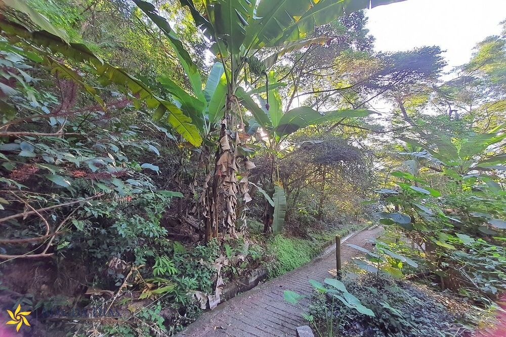 Terreno, 9664 m² - Foto 14