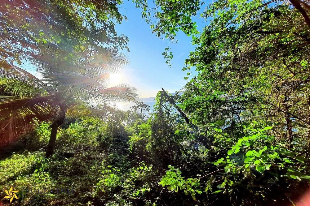 Terreno, 9664 m² - Foto 16