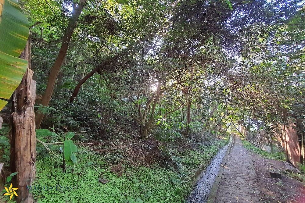 Terreno, 9664 m² - Foto 15