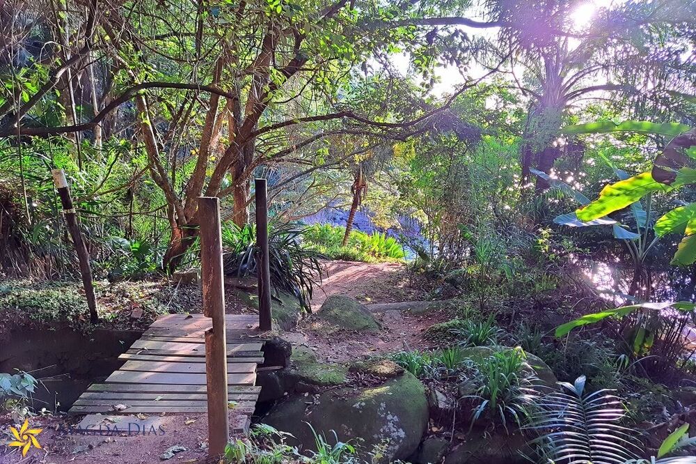 Terreno, 9664 m² - Foto 17