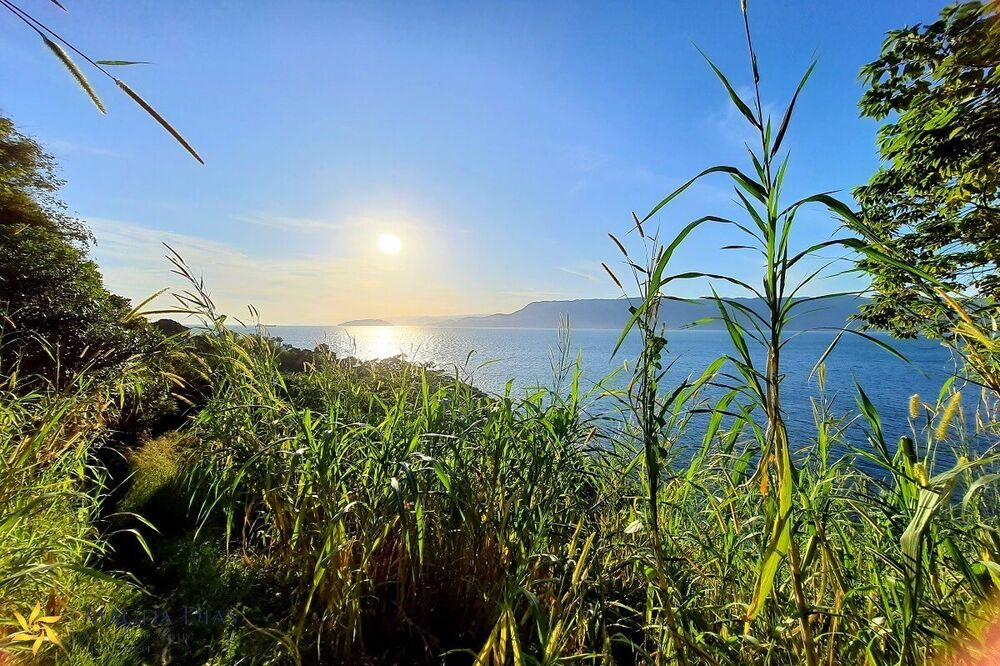 Terreno, 9664 m² - Foto 7