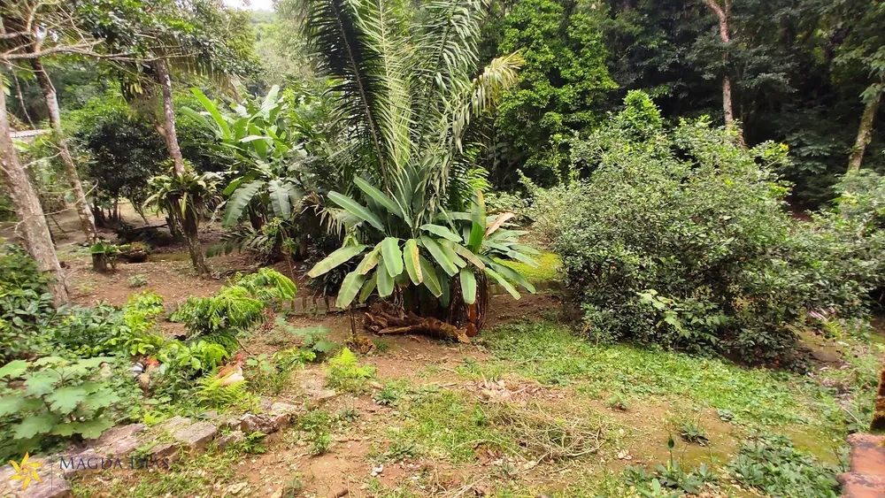Casa, 4 quartos, 300 m² - Foto 8