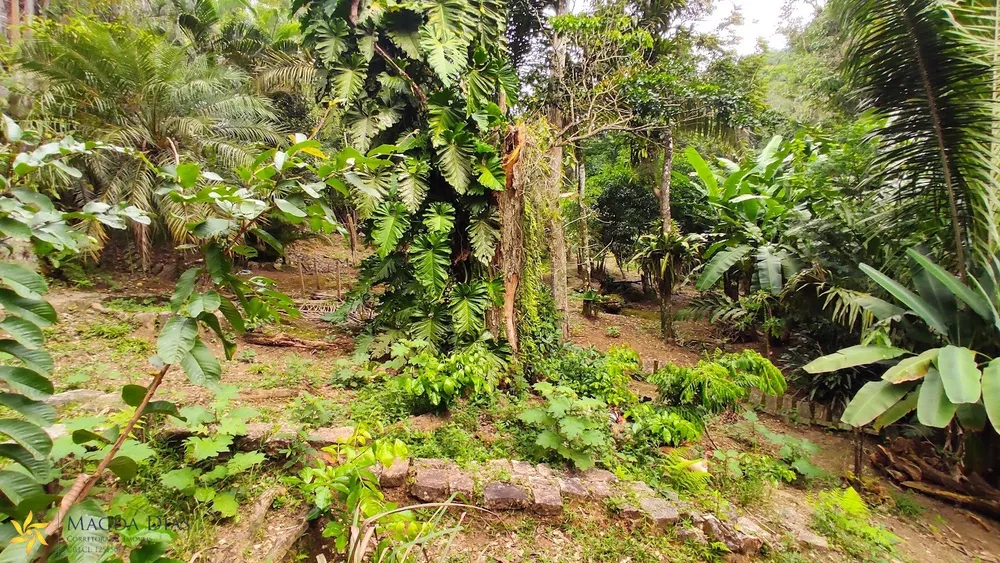 Casa, 4 quartos, 300 m² - Foto 5