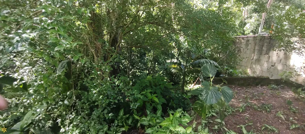 Terreno, 1200 m² - Foto 11