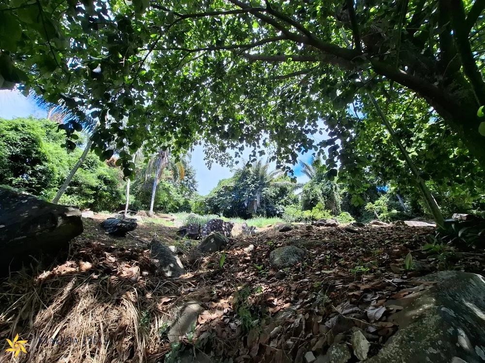 Terreno, 2440 m² - Foto 12