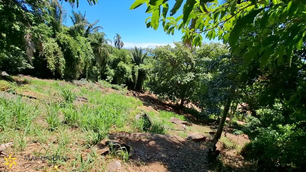Terreno, 2440 m² - Foto 7
