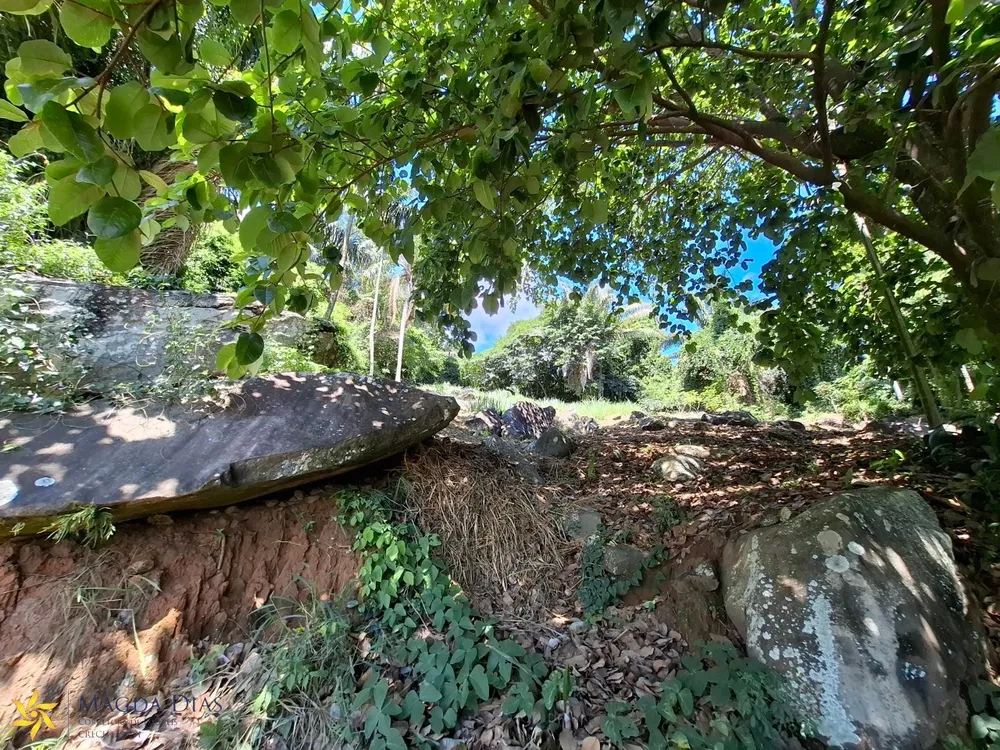 Terreno, 2440 m² - Foto 4