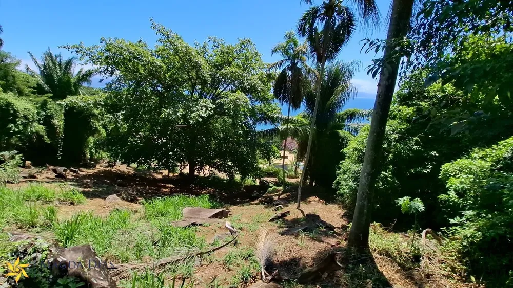 Terreno, 2440 m² - Foto 8
