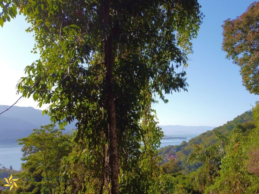 Terreno, 1030 m² - Foto 2