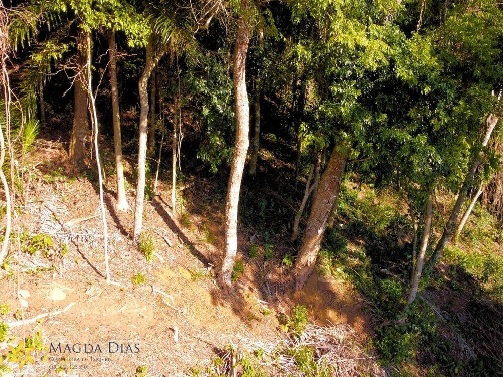 Terreno, 1030 m² - Foto 3