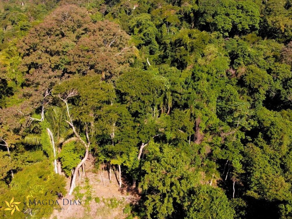 Terreno, 1030 m² - Foto 5