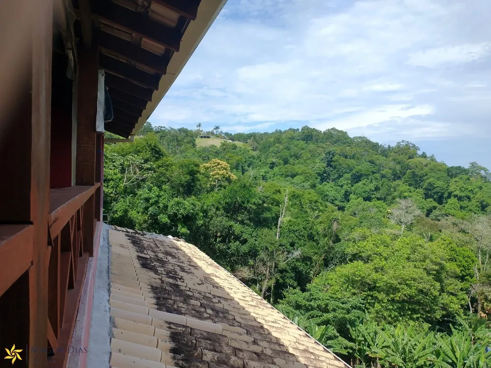 Casa, 3 quartos, 229 m² - Foto 4