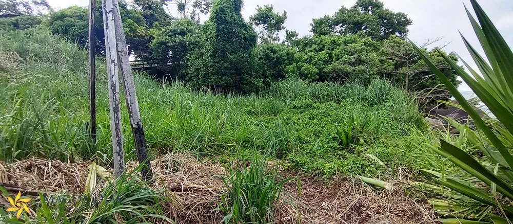 Terreno, 1800 m² - Foto 11