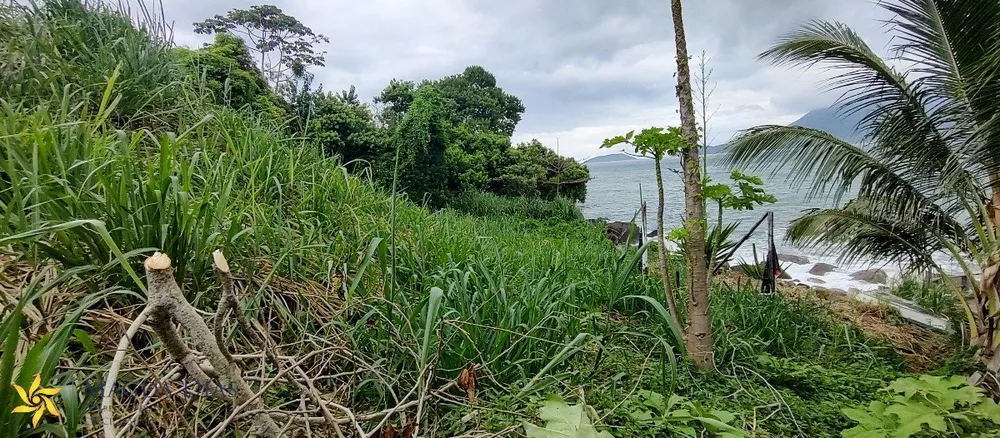 Terreno, 1800 m² - Foto 8