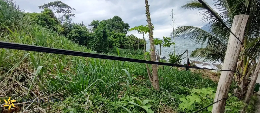 Terreno, 1800 m² - Foto 6