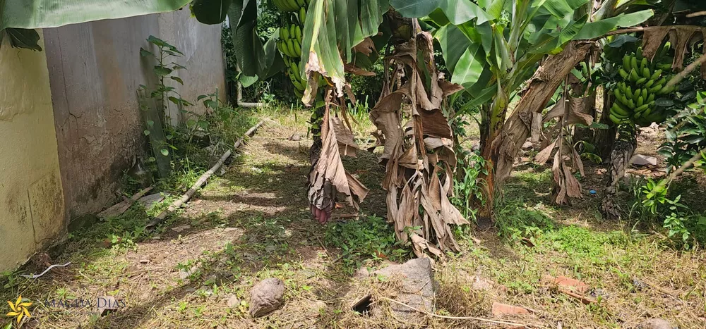 Terreno, 612 m² - Foto 6