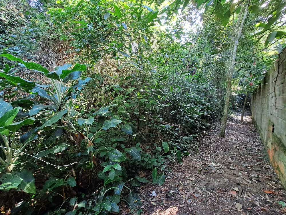 Terreno, 1250 m² - Foto 5
