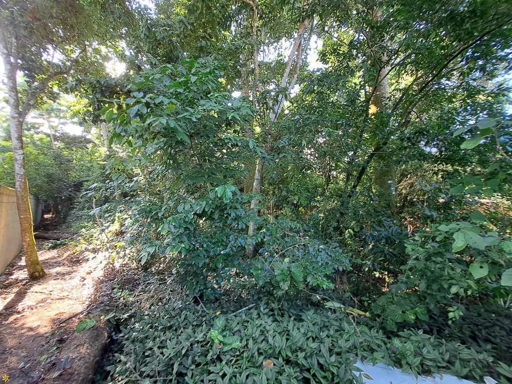 Terreno, 1250 m² - Foto 9