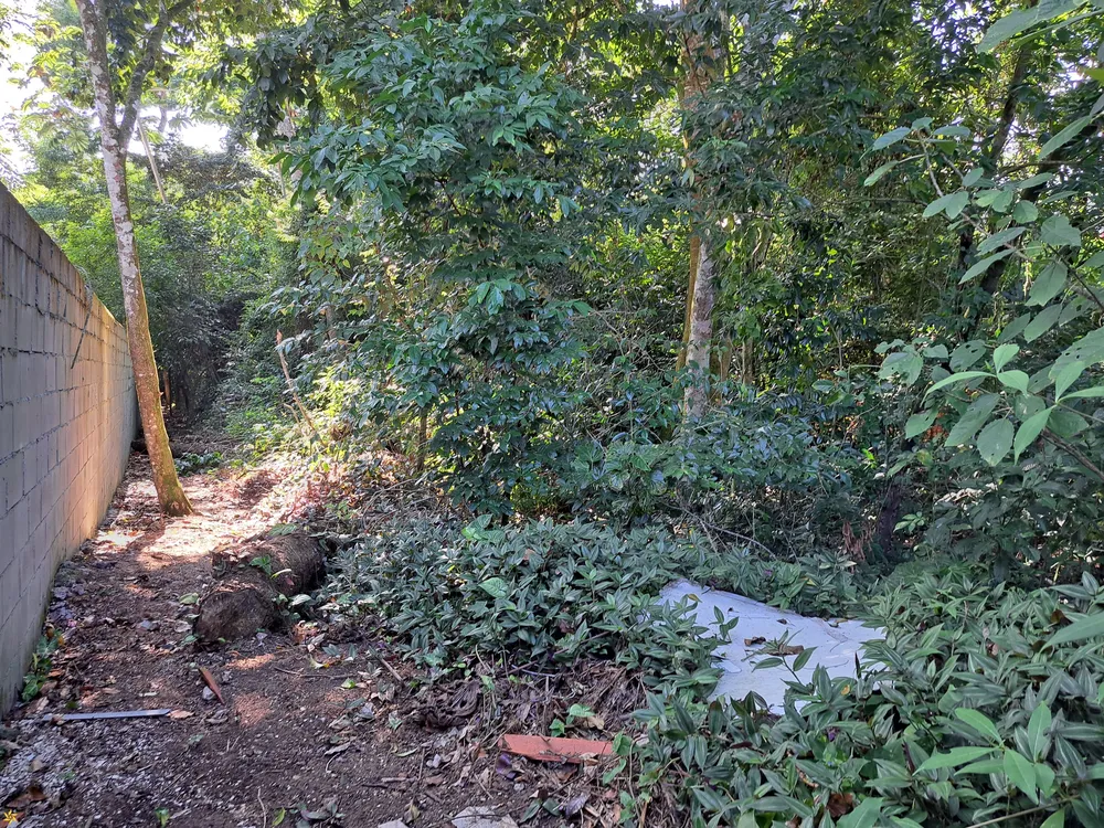 Terreno, 1250 m² - Foto 1