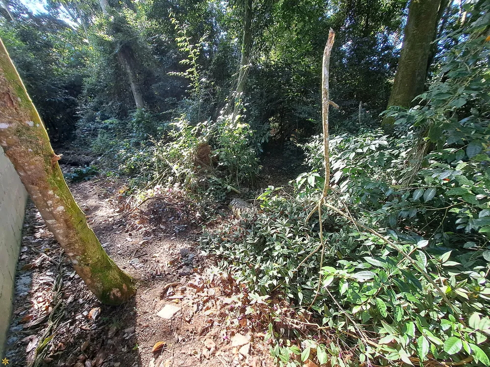 Terreno, 1250 m² - Foto 2