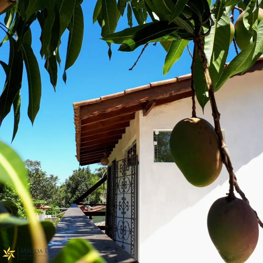 Casa, 4 quartos, 200 m² - Foto 10