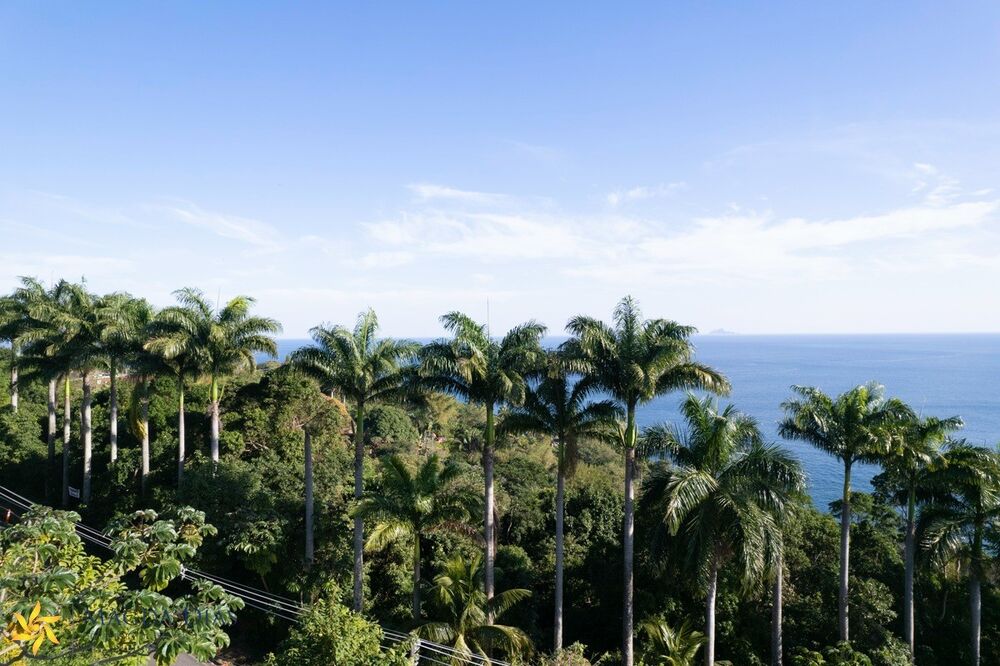 Terreno, 7 hectares - Foto 5