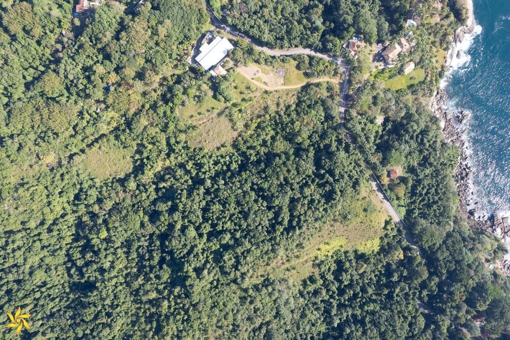 Terreno, 7 hectares - Foto 6