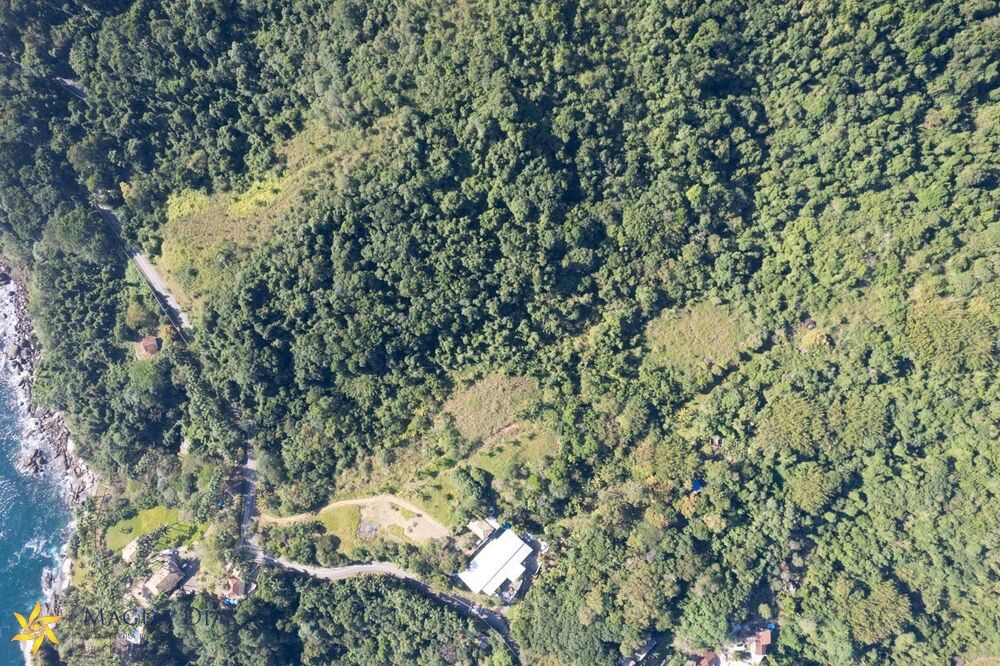 Terreno, 7 hectares - Foto 4