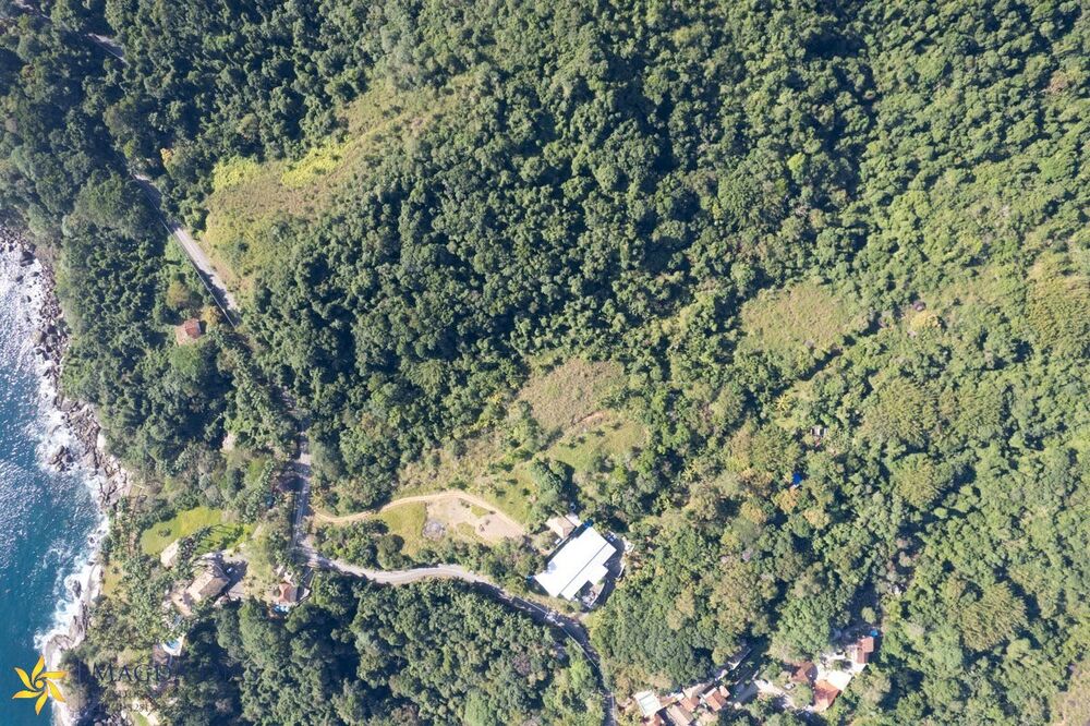 Terreno, 7 hectares - Foto 8